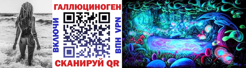 купить наркотик  Светлогорск  Псилоцибиновые грибы прущие грибы 